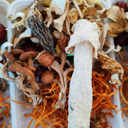 云南野生菌汤包，汤鲜味美，菌香四溢 商品图0