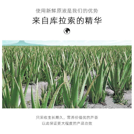 「拍1发2」普拉缇娜清润芦荟胶 芦荟舒缓凝胶50g 补水芦荟胶 商品图4