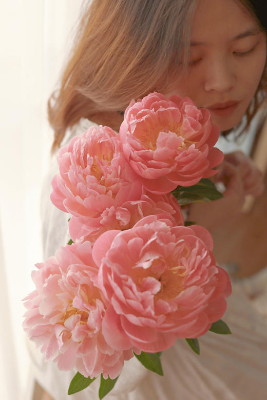 【预售！4.20起陆续发出】珊瑚系列【我想陪你去看第44次日落】 A级“芍药届的爱马仕” 稀有变色芍药 2件包邮 顺丰空运 商品图1