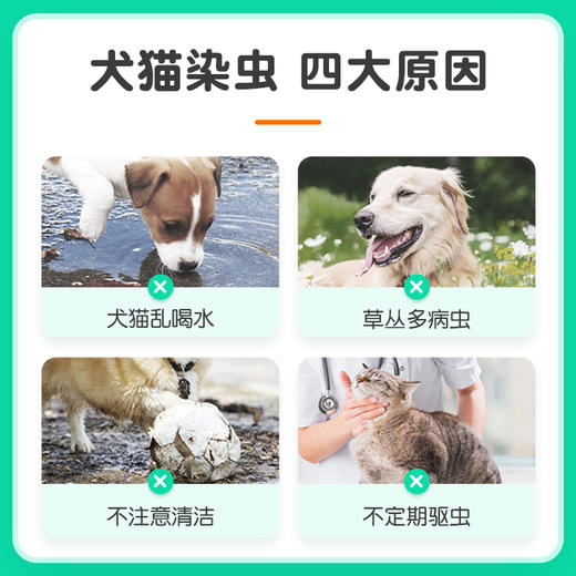 【小宠】 阿苯达唑片50mg/0.2g 8片装 广谱体内除虫打虫 线虫 涤虫 钩虫等 犬猫通用 商品图3