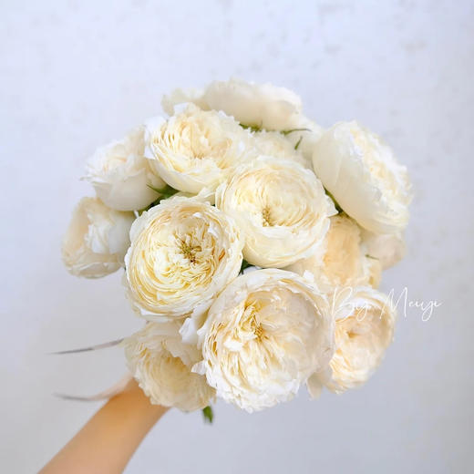 肯尼亚INNOCENT天真花园玫瑰花 商品图1