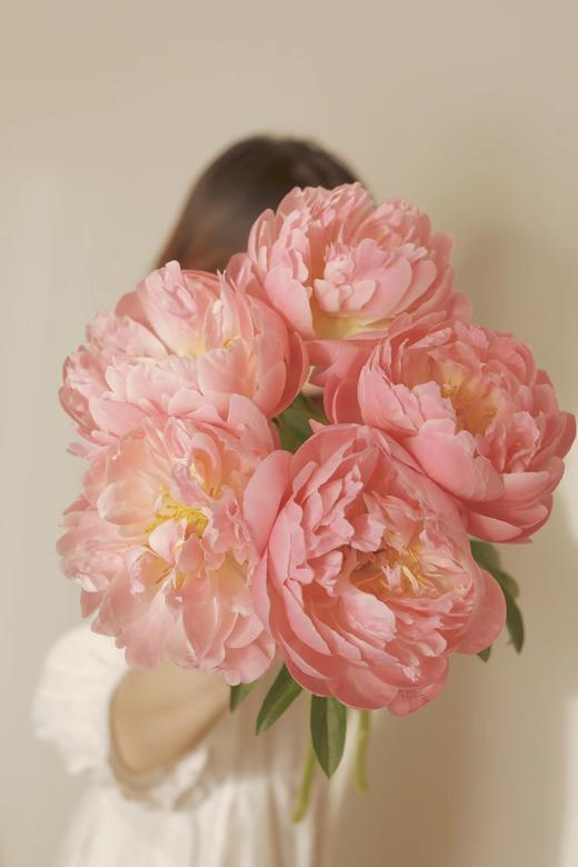 【预售！4.20起陆续发出】珊瑚系列【我想陪你去看第44次日落】 A级“芍药届的爱马仕” 稀有变色芍药 2件包邮 顺丰空运 商品图5