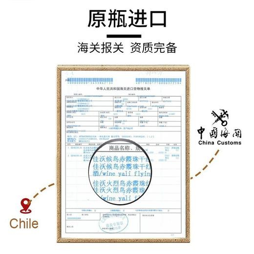【连续6年荣获智利一级庄！5家米其林餐厅甄选！】候鸟珍藏赤霞珠干红葡萄酒 智利 商品图4