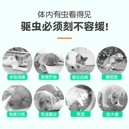 【小宠】 阿苯达唑片50mg/0.2g 8片装 广谱体内除虫打虫 线虫 涤虫 钩虫等 犬猫通用 商品图4
