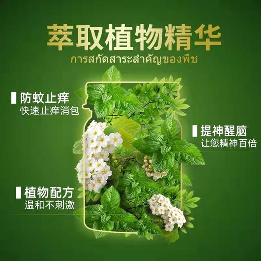稻穗青草膏50g 商品图3