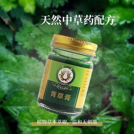 稻穗青草膏50g 商品图1