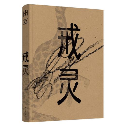 戒灵 商品图2