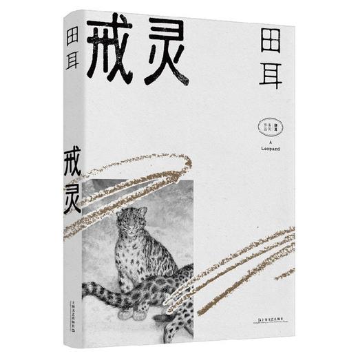 戒灵 商品图1