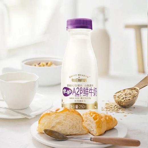 每日鲜语优护A2鲜牛奶250ml*24 商品图0