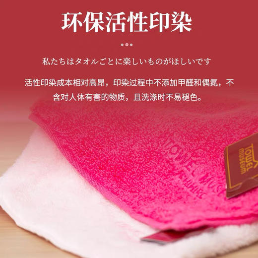 5F  毛巾美术馆纯棉面巾 34*75cm 商品图1