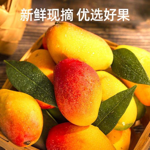 「一口爆汁」海南贵妃芒 净重3斤-9斤装 新鲜多汁 皮薄肉厚 核薄如卡 果香浓郁 口感清甜细腻 商品图1