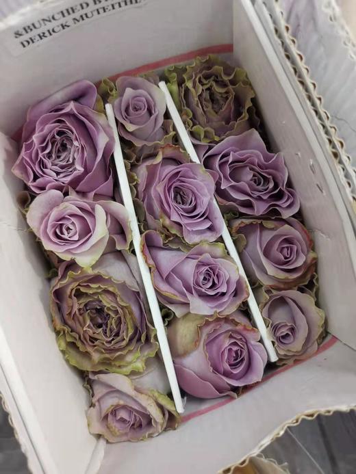 肯尼亚Princess kaori考瑞公主玫瑰花12支 商品图5