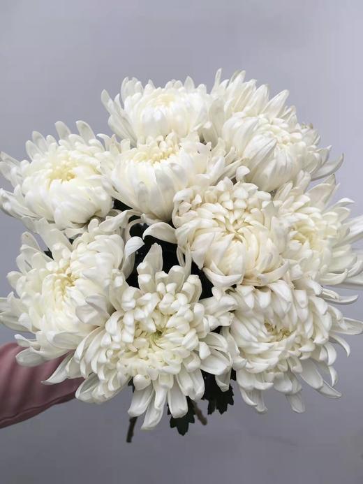 清明节花束 黄菊 白菊 花 一束 商品图3