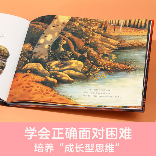 四季之歌系列绘本 小鸿雁的秋天+小熊的春天（共两册） 商品图2