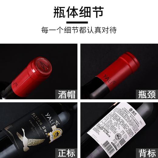 【连续6年荣获智利一级庄！5家米其林餐厅甄选！】候鸟珍藏赤霞珠干红葡萄酒 智利 商品图7