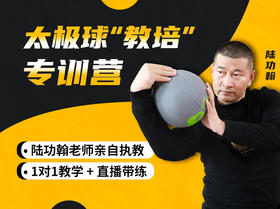 【直播带练】太极球专训