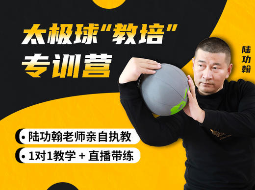 【直播带练】太极球专训 商品图0