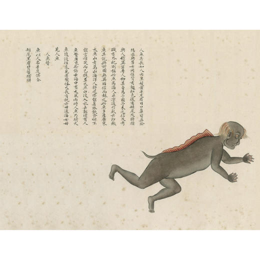 《海错图笔记》（青少年版） 商品图5