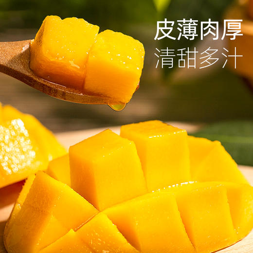 「一口爆汁」海南贵妃芒 净重3斤-9斤装 新鲜多汁 皮薄肉厚 核薄如卡 果香浓郁 口感清甜细腻 商品图5