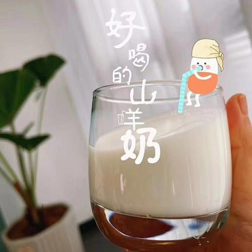 【2箱减5元】【奶中贵族  很接近母乳的山羊奶】安牧山羊奶 黄金钙磷比   不腥不膻 醇香不易过敏 商品图5