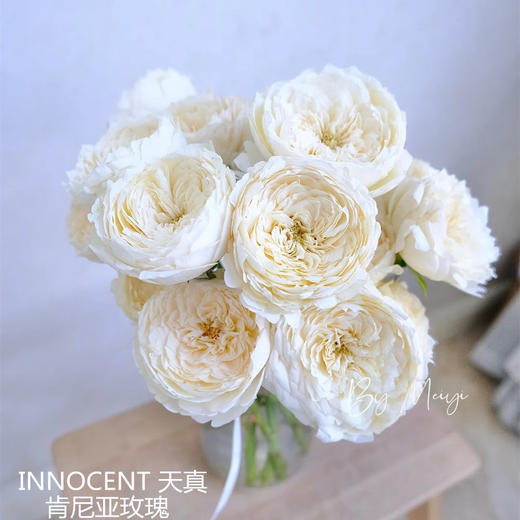 肯尼亚INNOCENT天真花园玫瑰花 商品图0