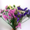 清明节花束 勿忘我 花 一扎 商品缩略图4