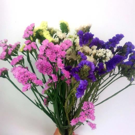 清明节花束 勿忘我 花 一扎 商品图4