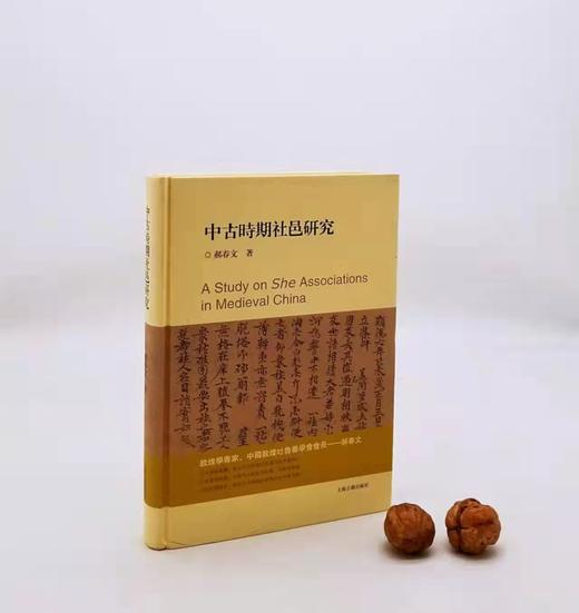 《中古时期社邑研究》上海古籍出版社，9品 商品图0