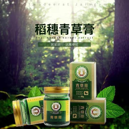 稻穗青草膏50g 商品图2