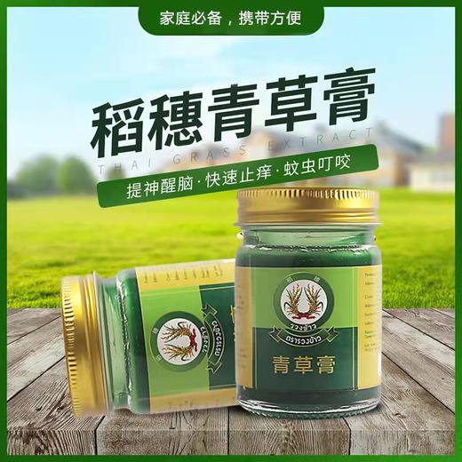 稻穗青草膏50g 商品图0