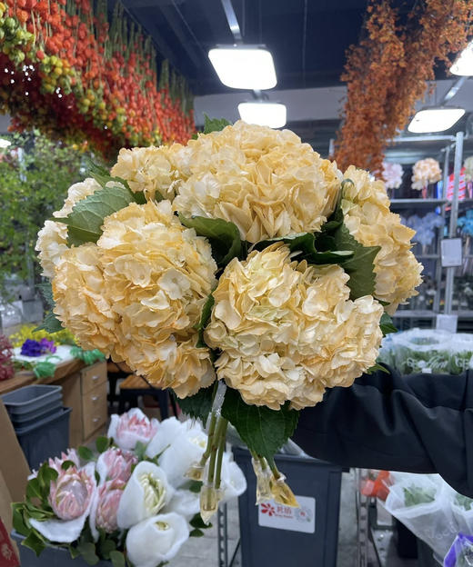 【哥伦比亚】绣球  单枝  多色可选 商品图2