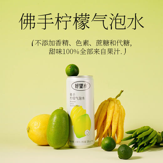 【已下市】好望水3种口味铝罐组合装（望山楂/金银花蜜桃/佛手柠檬330ml各2罐） 商品图3