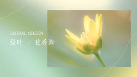 绿叶花香调 | 香水百科