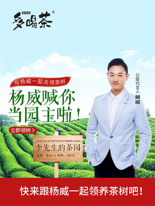 【办公室神器】多喝茶 茉莉花茶 一次性纸杯装 茶水分离杯 浓香型（20杯*2克）（天猫同款） 商品图2