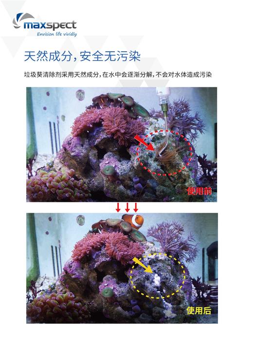 迈光垃圾葵 鬼爪清除剂 商品图3
