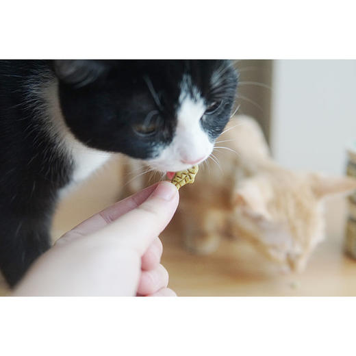 益和猫草饼干猫薄荷饼干猫零食猫咪磨牙棒洁齿去毛球小鱼饼干幼猫 商品图4