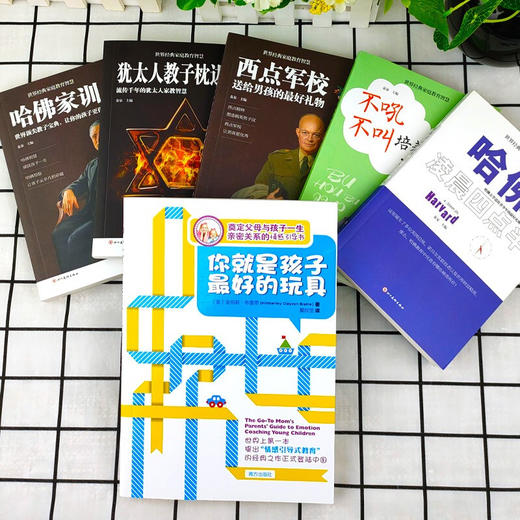 【优惠套装】现货6册樊登推荐你就是孩子最好的玩具+如何说好孩子才能听正面管教哈佛家训 哈佛凌晨四点半教育孩子书籍 商品图1