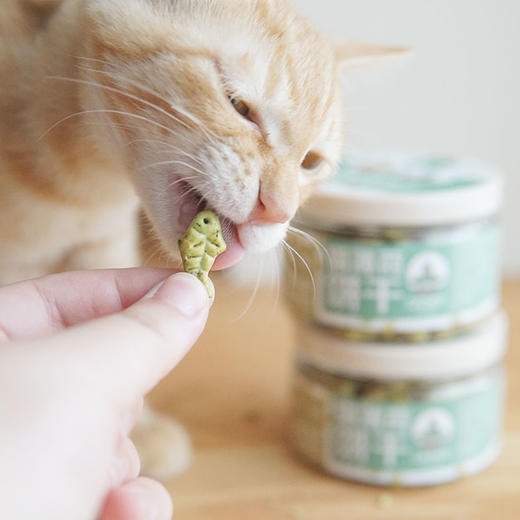 益和猫草饼干猫薄荷饼干猫零食猫咪磨牙棒洁齿去毛球小鱼饼干幼猫 商品图1