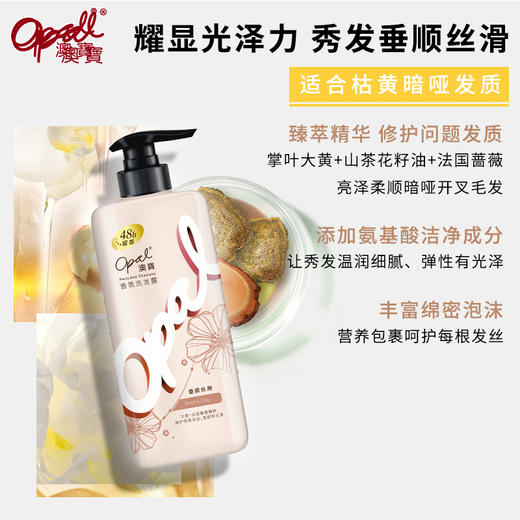【品牌直发】澳宝香氛洗发露滋养顺滑保湿补水洗发水480g 商品图3