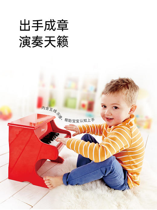 （赠透明口琴）Hape18键小钢琴家用音乐启蒙3-10岁宝宝木质婴幼儿童益智玩具迷你 商品图2