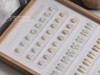 【秒杀价】24色纯白物语百搭之王白色系 商品缩略图2