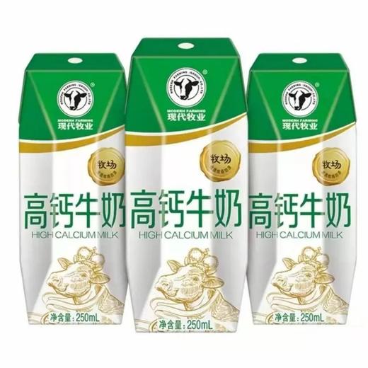 蒙牛现代牧场高钙牛奶200ml*12 商品图1