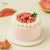 迷你多肉芭乐蛋糕，可选4英寸 商品缩略图1