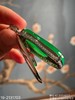 19-2131703，老坑帝王绿福瓜吊坠。具体价格微信咨询 商品缩略图7