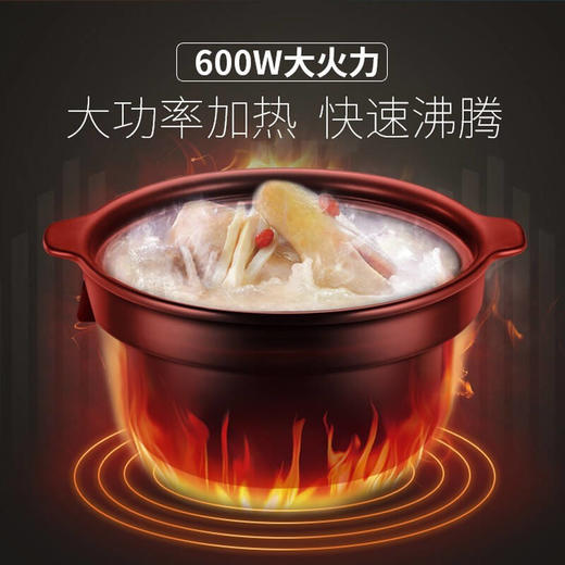 苏泊尔电炖锅电炖盅中华炽陶4L家用自动煲汤锅煲粥电砂锅BB煲40YC5 商品图3