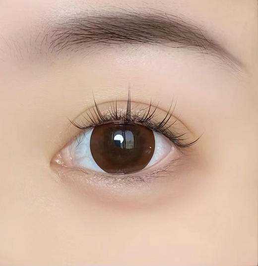 【小红书推荐款】yeelens，C12 brown，日抛/直径14.5/着色14.0，68/盒128/2盒228/4盒548/10盒，需佩戴工具请备注 商品图8