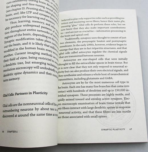 神经可塑性 MIT新概念丛书 英文原版 Neuroplasticity 知识读本 英文版进口原版英语书籍 商品图2