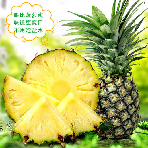 【产地直发】海南金钻凤梨3/5/8斤装 优质产区---GP 商品图1