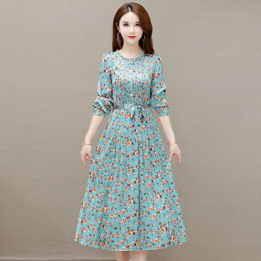 YWE 27016印花连衣裙中长款气质优雅时尚大码A字裙 商品图0