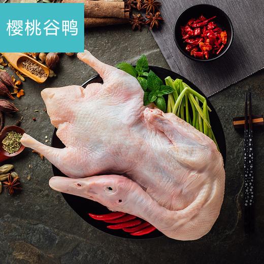 混合生鲜定制套餐1 商品图1